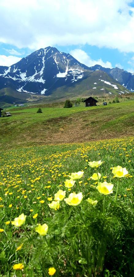 Lacknerhof Oberperfuss Exteriér fotografie